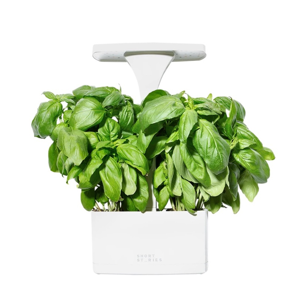 Short Stories LED Indoor Planter